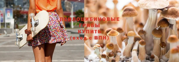 винт Армянск
