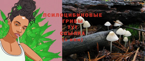 прущий лед Арсеньев